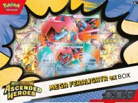 Ilustracja Pokemon TCG: Mega Evolution - Ascended Heroes - Mega Feraligatr ex Box